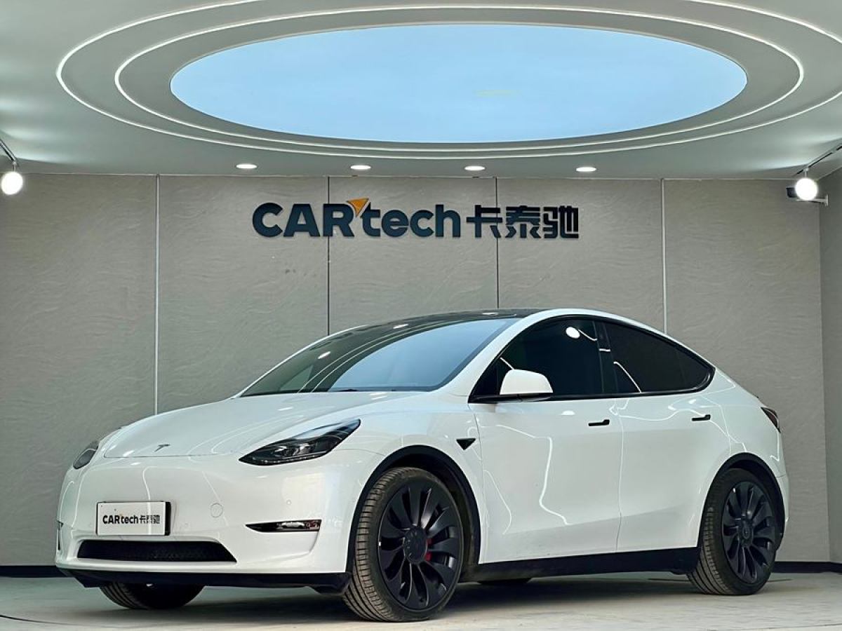 2023年10月特斯拉 Model 3  2022款 Performance高性能全輪驅(qū)動版