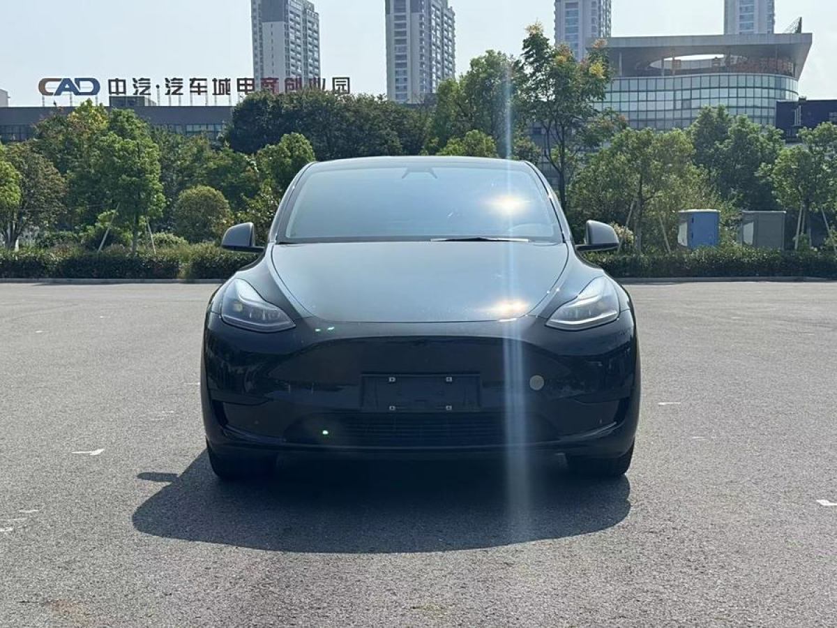 特斯拉 Model Y  2020款 改款 長續(xù)航后輪驅(qū)動版圖片