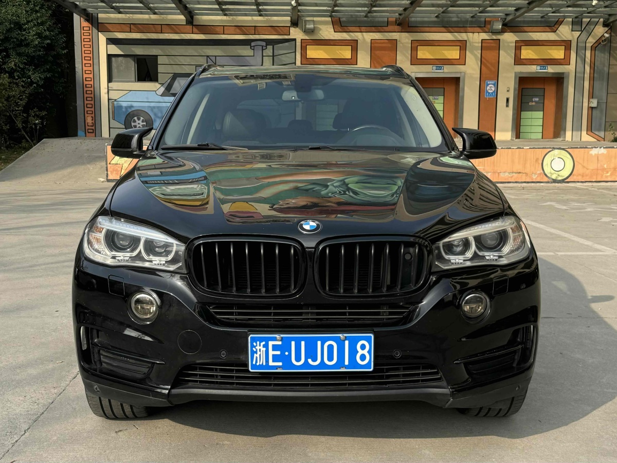 寶馬 寶馬X5  2014款 xDrive35i 領(lǐng)先型圖片