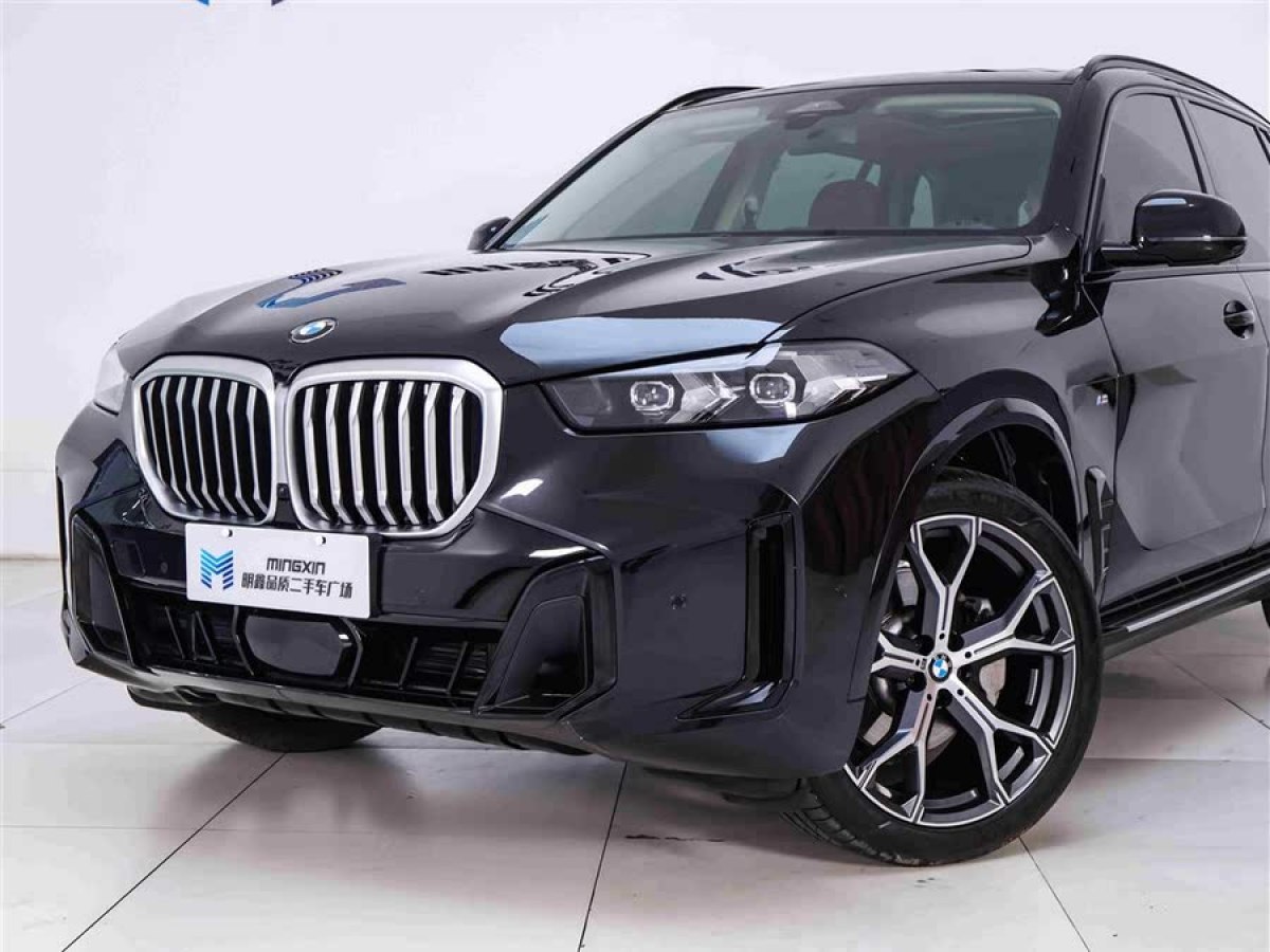 寶馬 寶馬X5  2023款 xDrive 30Li 尊享型M運動曜夜套裝圖片
