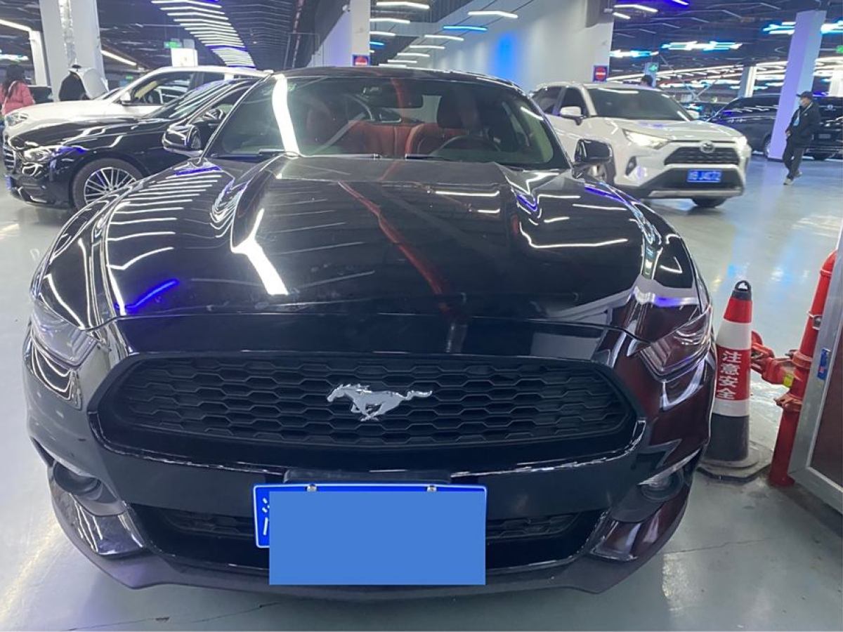 福特 Mustang  2015款 2.3T 性能版圖片