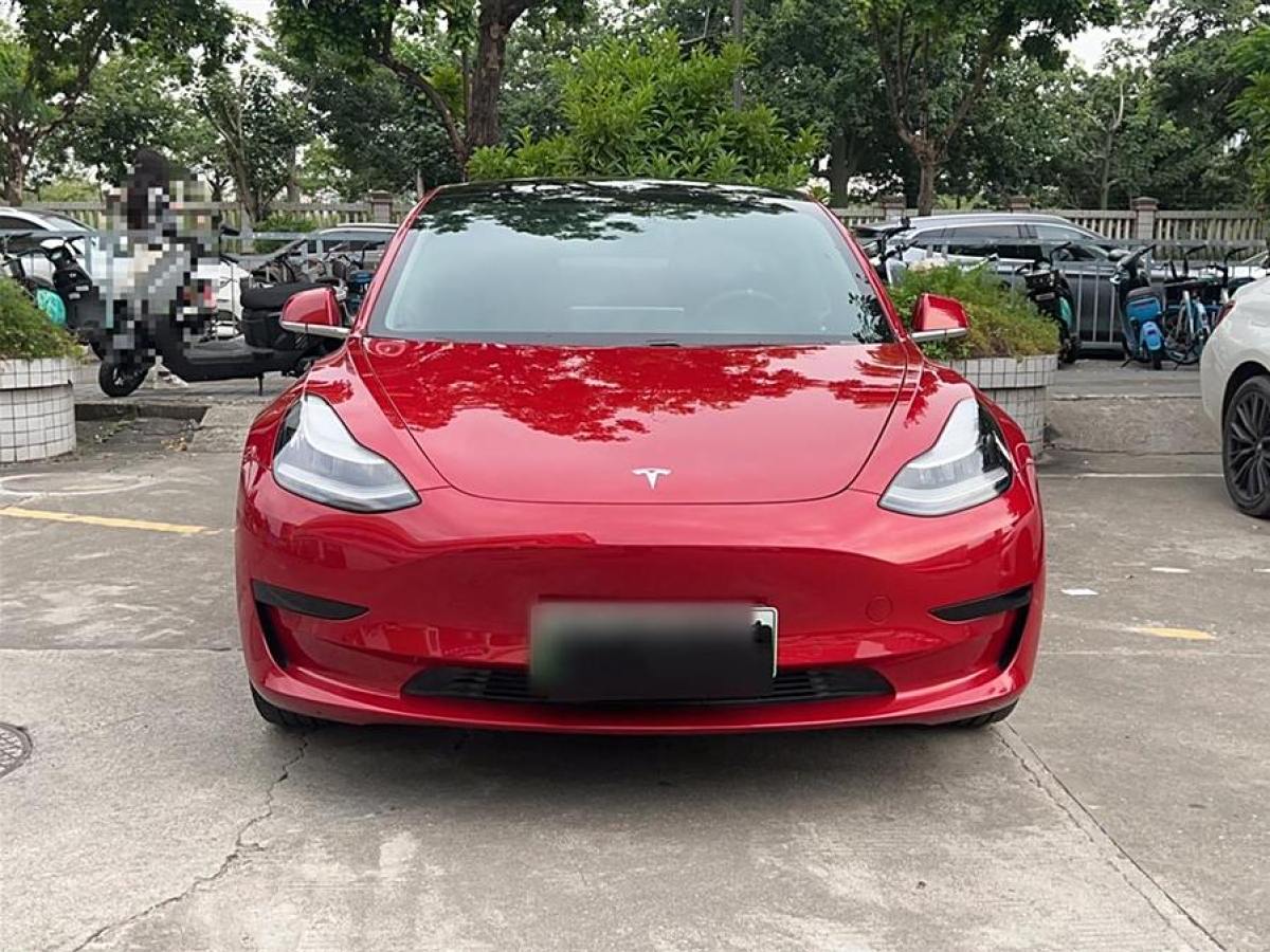 特斯拉 Model 3  2019款 標準續(xù)航后驅(qū)升級版圖片