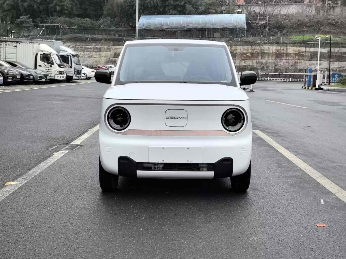 吉利 熊貓mini  2023款 200km 靈動熊圖片