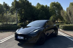 Model 3 特斯拉 改款 长续航后轮驱动版