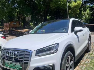 2021年1月 奧迪 奧迪SQ5(進(jìn)口) 3.0 TFSI quattro圖片