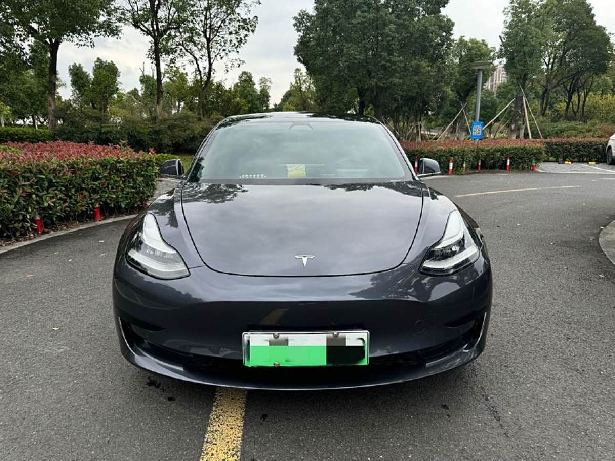 特斯拉 Model Y  2020款 改款 標(biāo)準(zhǔn)續(xù)航后驅(qū)升級(jí)版圖片