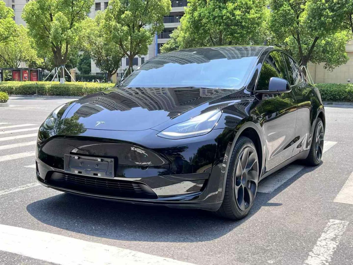 特斯拉 Model 3  2022款 Performance高性能全輪驅(qū)動版圖片