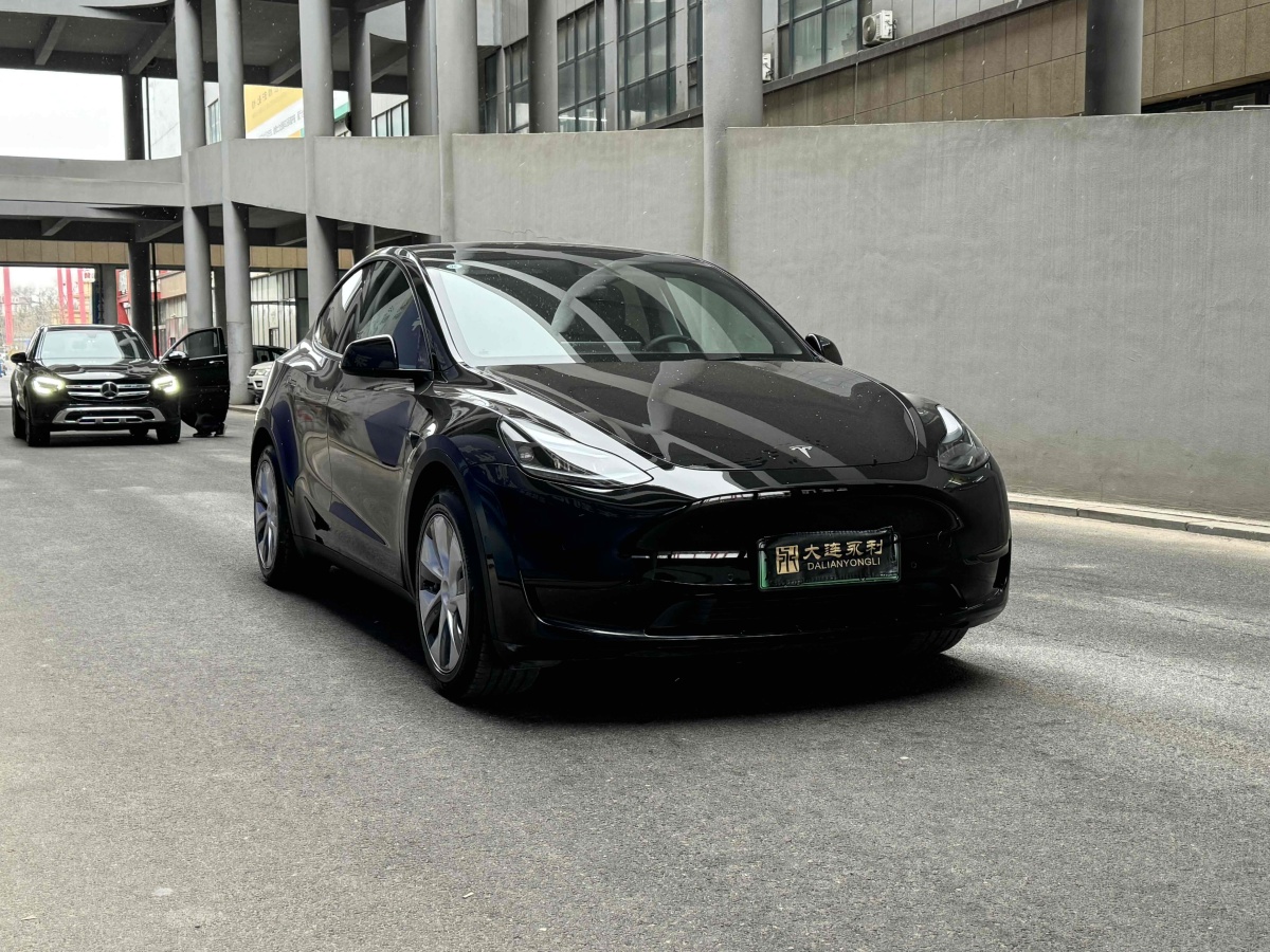 特斯拉 Model Y  2021款 標準續(xù)航后驅(qū)版圖片