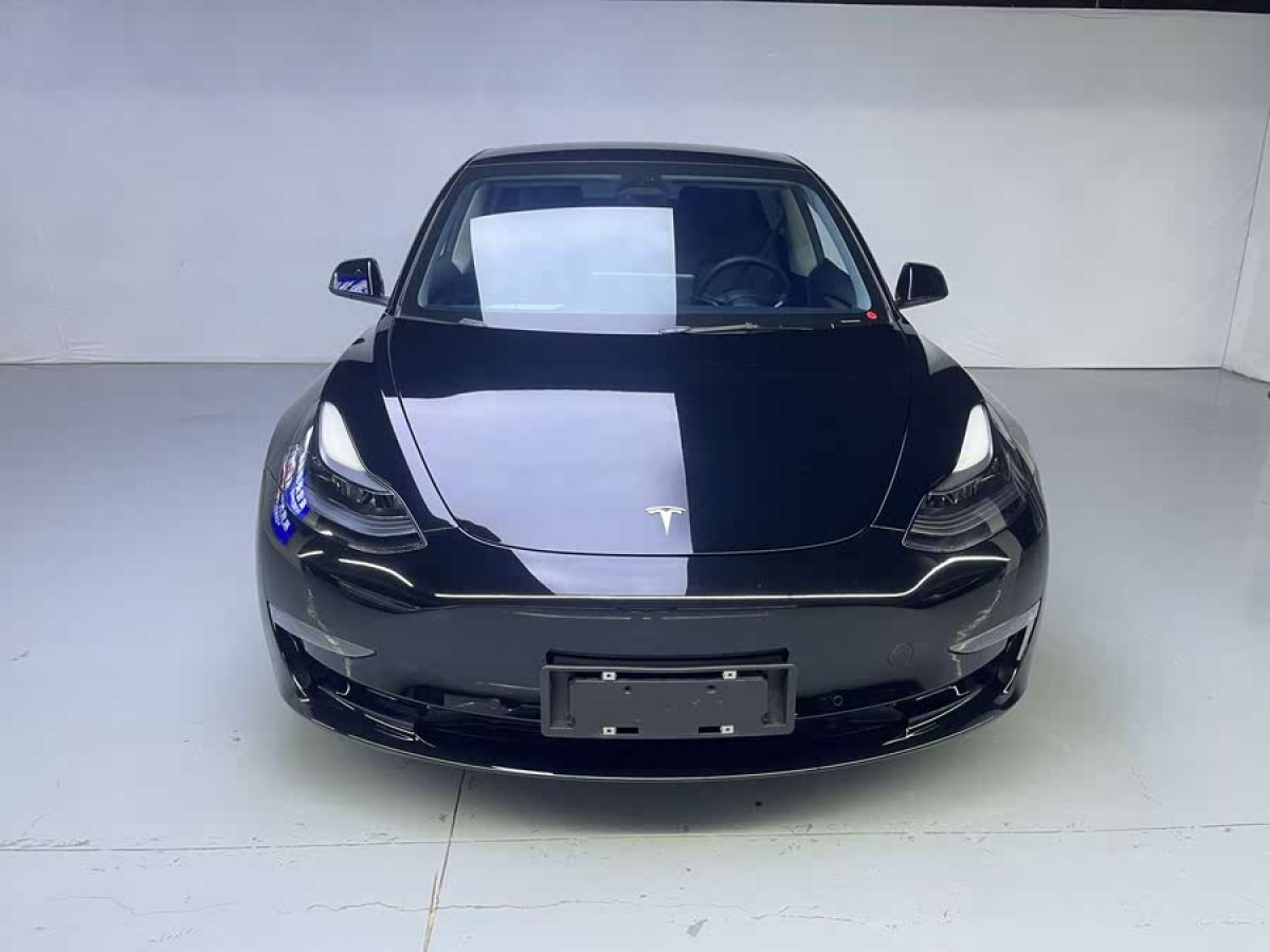 特斯拉 Model 3  2022款 Performance高性能全輪驅(qū)動(dòng)版圖片