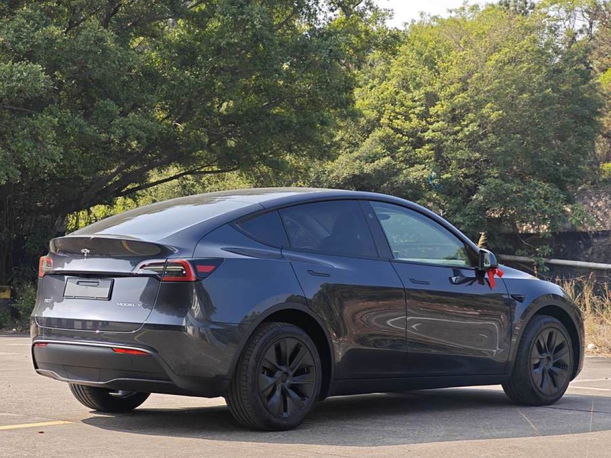 特斯拉 Model Y  2024款 長(zhǎng)續(xù)航全輪驅(qū)動(dòng)版圖片