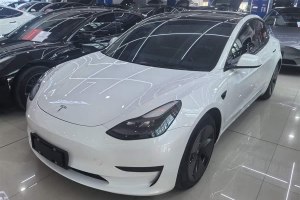 Model 3 特斯拉 后輪驅(qū)動版