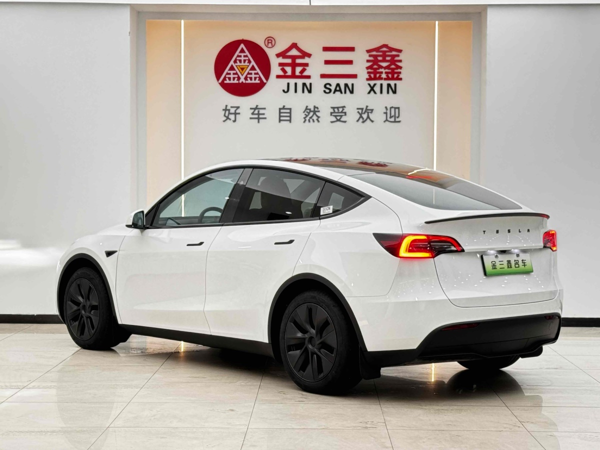 2024年3月特斯拉 Model Y  2020款 改款 長續(xù)航后輪驅(qū)動版