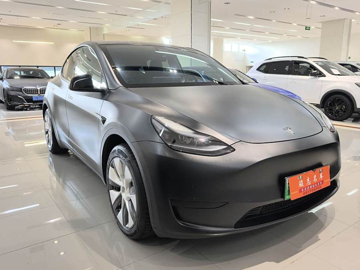 2023年4月特斯拉 Model Y  2022款 后輪驅(qū)動版