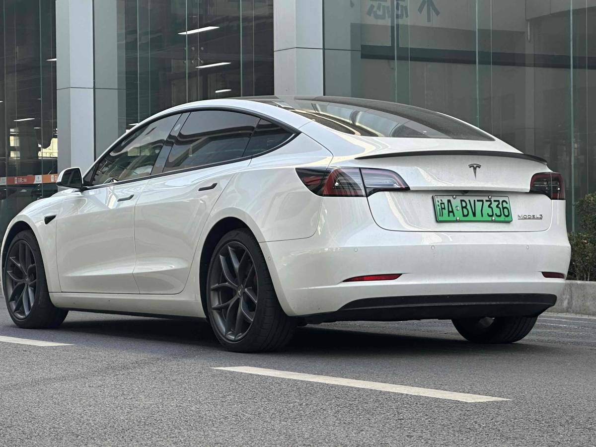 特斯拉 Model 3  2019款 Performance高性能全輪驅(qū)動版圖片