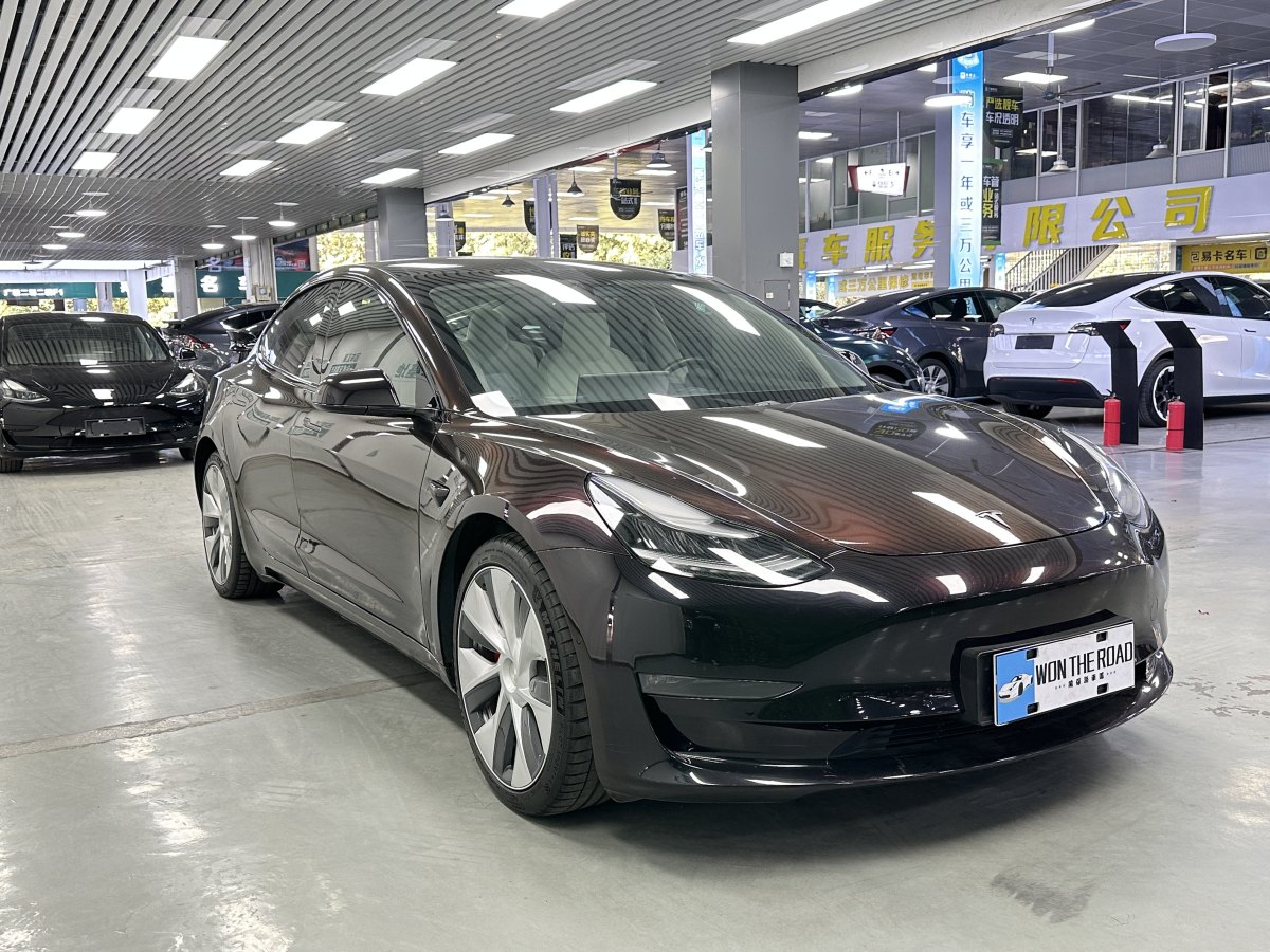 特斯拉 Model 3  2019款 Performance高性能全輪驅(qū)動版圖片