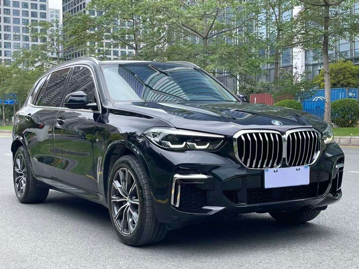 寶馬 寶馬X5  2022款 改款 xDrive 30Li M運(yùn)動(dòng)套裝圖片