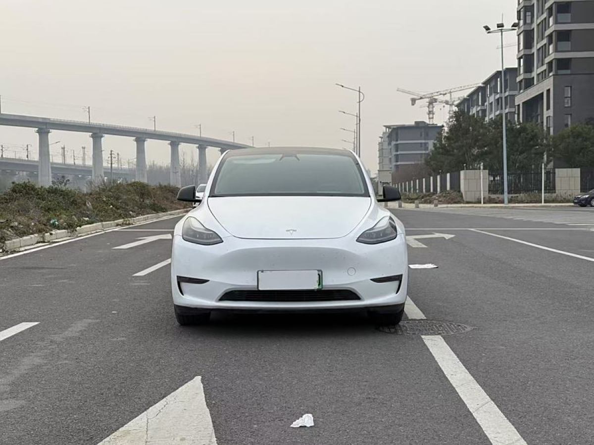 特斯拉 Model Y  2021款 改款二 長(zhǎng)續(xù)航全輪驅(qū)動(dòng)版圖片