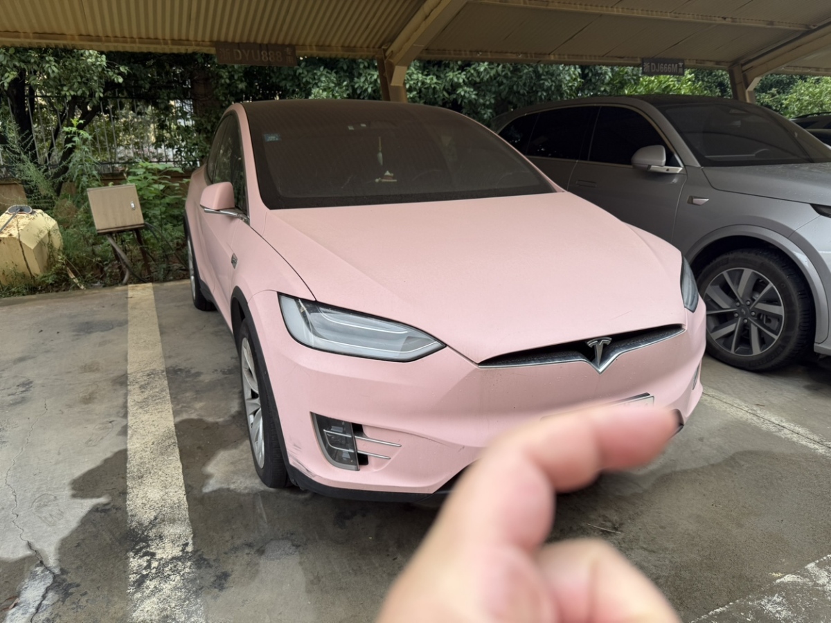 特斯拉 Model X  2019款 長(zhǎng)續(xù)航版圖片