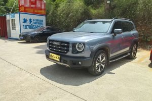哈弗大狗 哈弗 1.5T DCT兩驅拉布拉多版