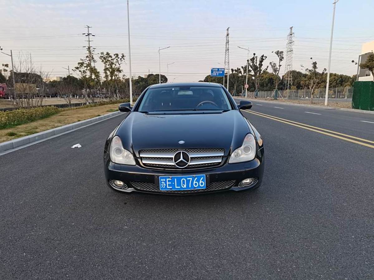 奔馳 奔馳CLS級  2009款 CLS 300圖片