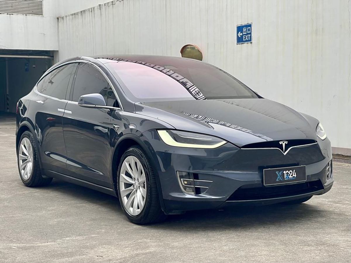 特斯拉 Model X  2017款 Model X 100D 長續(xù)航版圖片