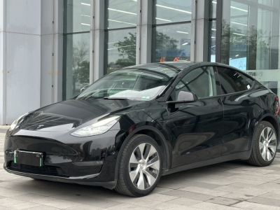 2021年01月 特斯拉 Model 3 長續(xù)航煥新版 雙電機全輪驅(qū)動圖片