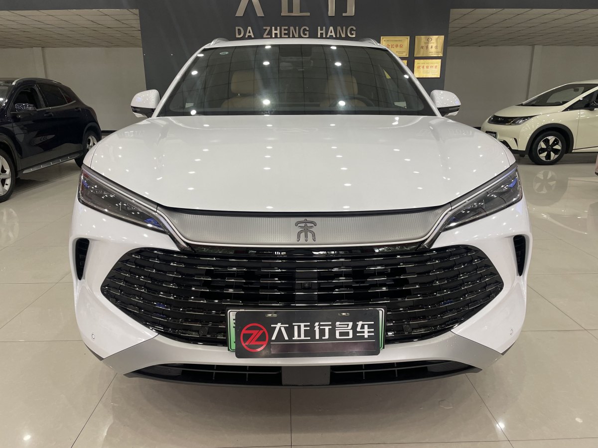 比亞迪 宋L DM-i  2024款 112km 領(lǐng)先型圖片