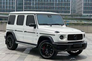 奔馳G級AMG 奔馳 AMG G 63 甲辰臻藏版