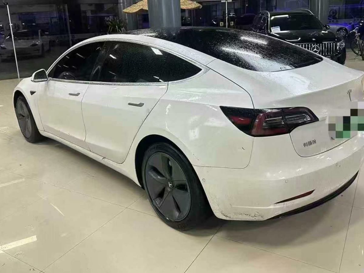 特斯拉 Model X  2020款 Performance 高性能版圖片