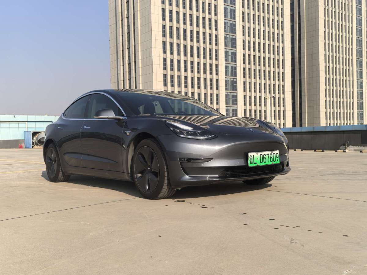 特斯拉 Model 3  2019款 長續(xù)航后驅(qū)版圖片