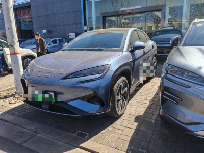 2024年7月 比亞迪 海獅07 EV 610智航版圖片