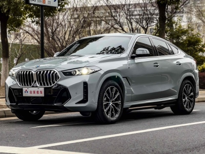 宝马 宝马X6(进口) xDrive30i M运动套装图片