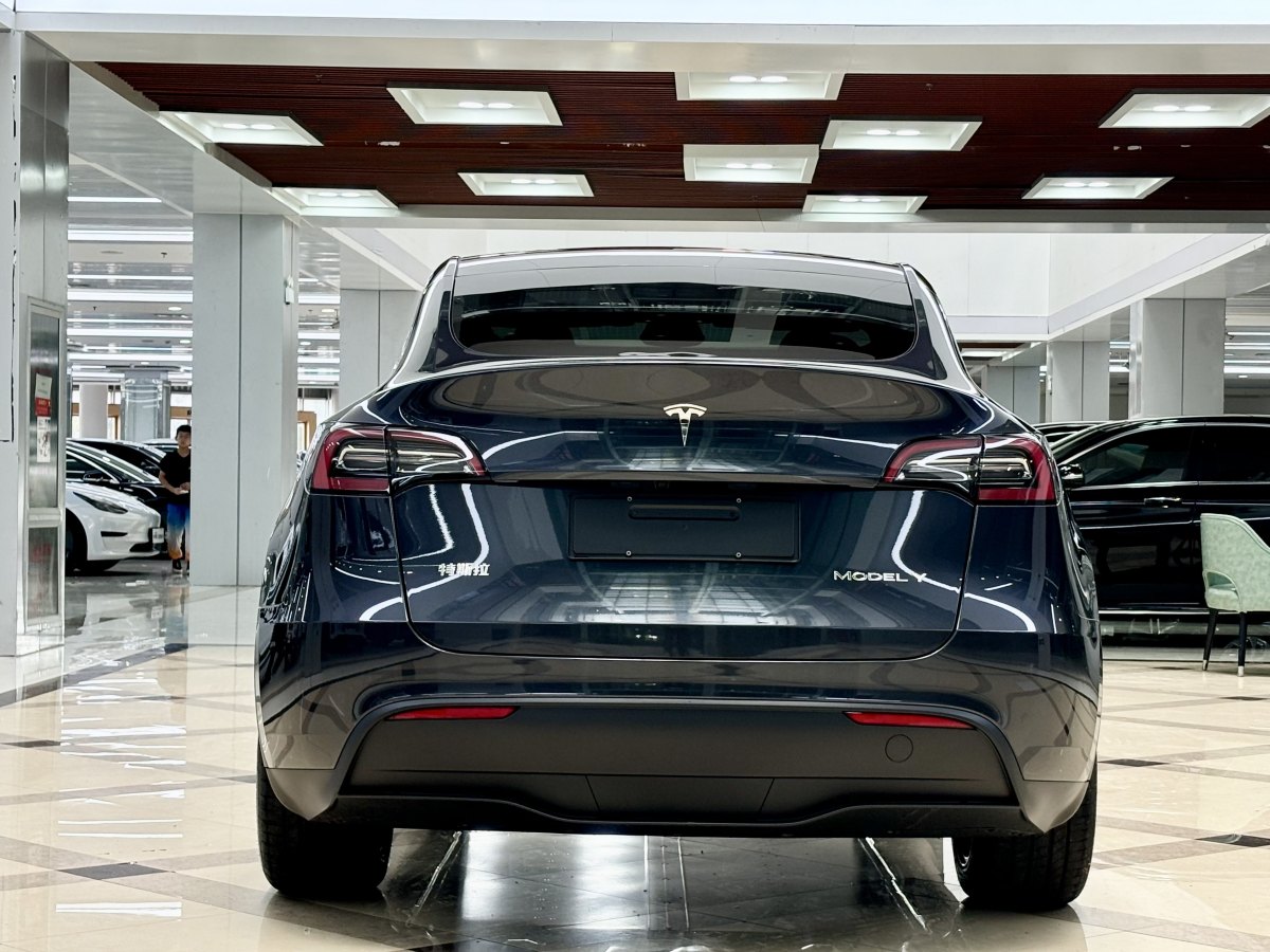 特斯拉 Model Y  2020款 改款 長續(xù)航后輪驅(qū)動版圖片