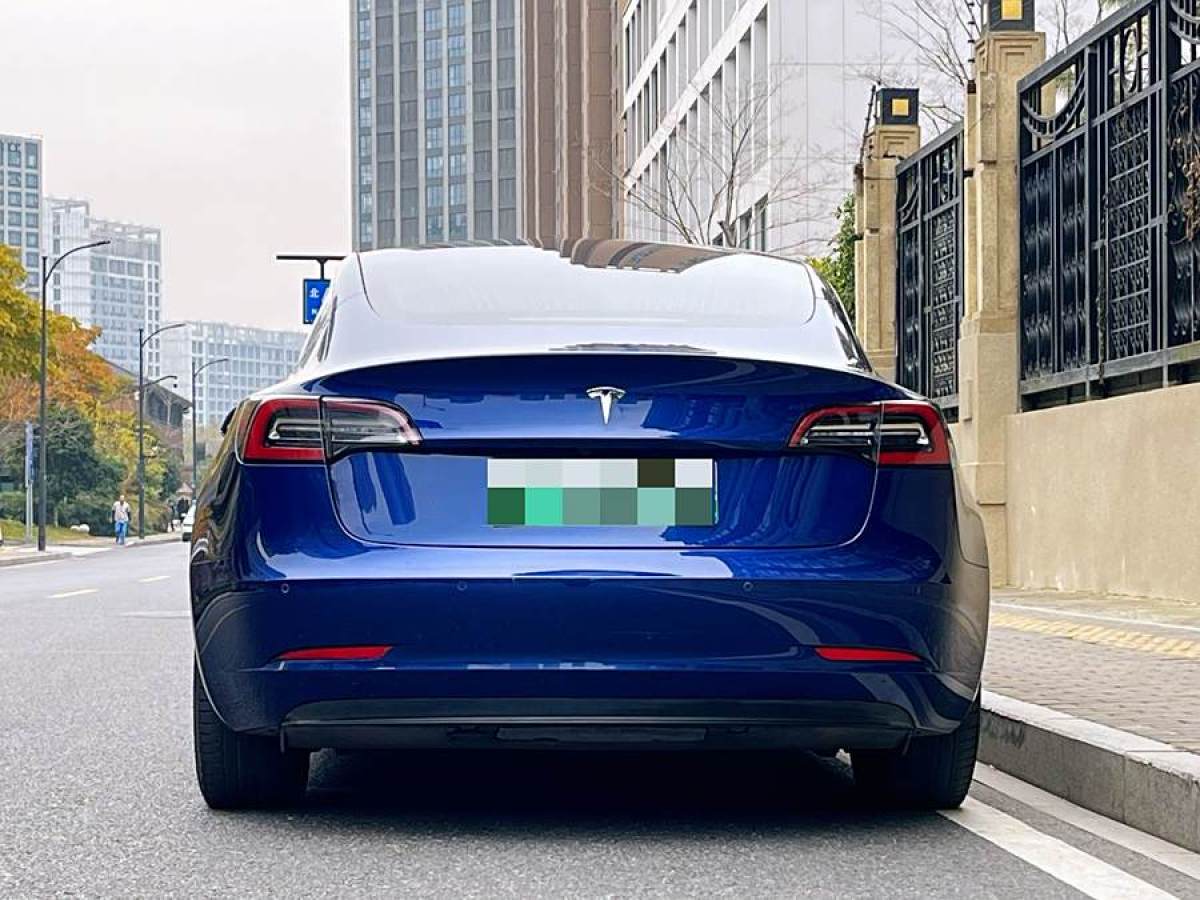 特斯拉 Model 3  2019款 標(biāo)準(zhǔn)續(xù)航后驅(qū)升級版圖片