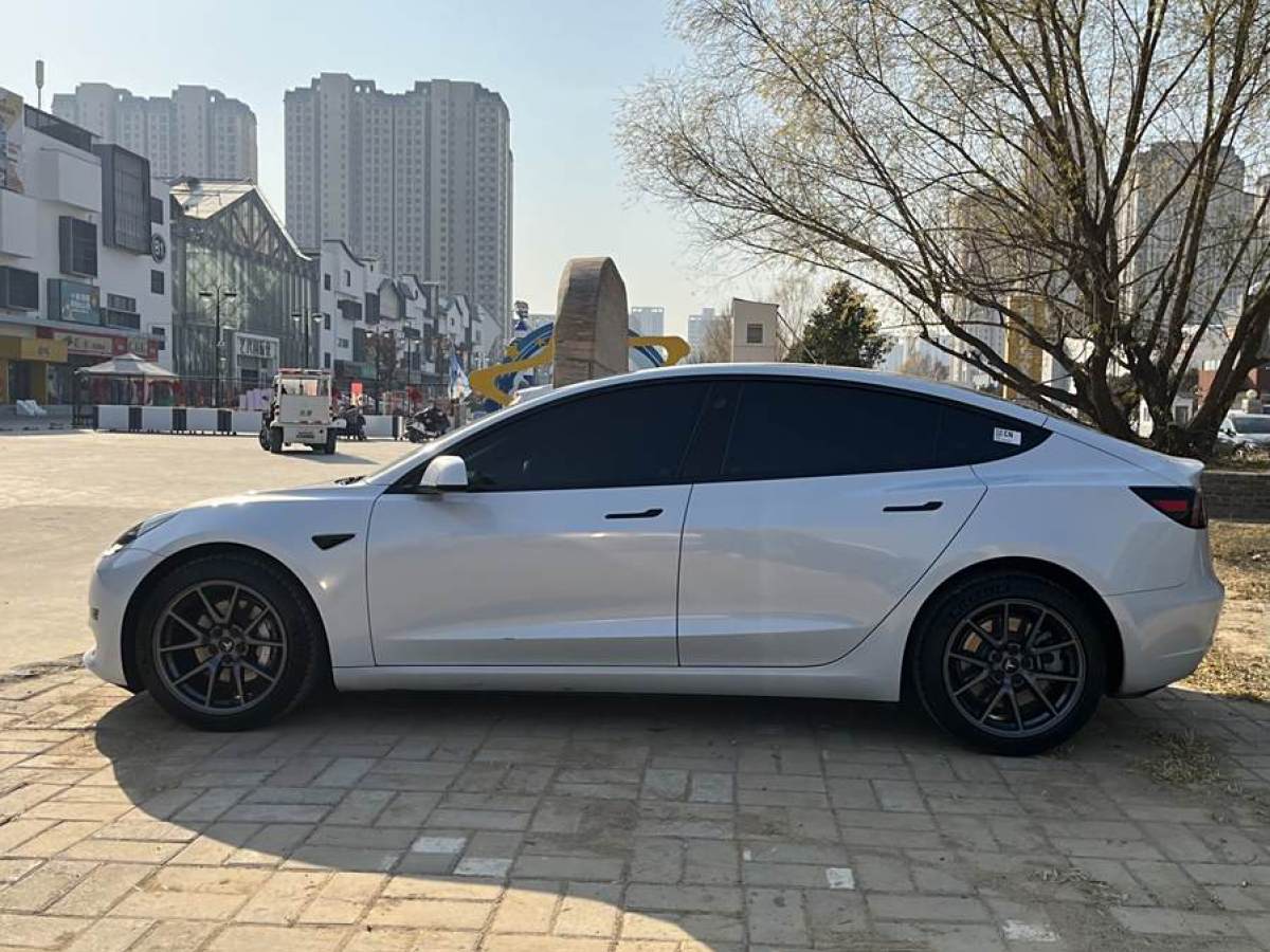 特斯拉 Model 3  2021款 改款 標(biāo)準(zhǔn)續(xù)航后驅(qū)升級版圖片