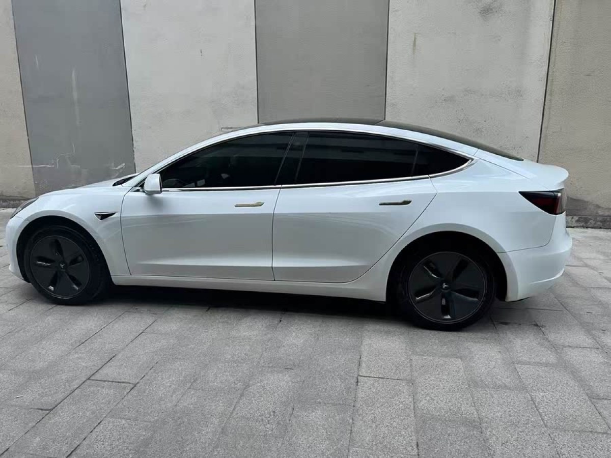 特斯拉 Model 3  2020款 改款 標準續(xù)航后驅(qū)升級版圖片