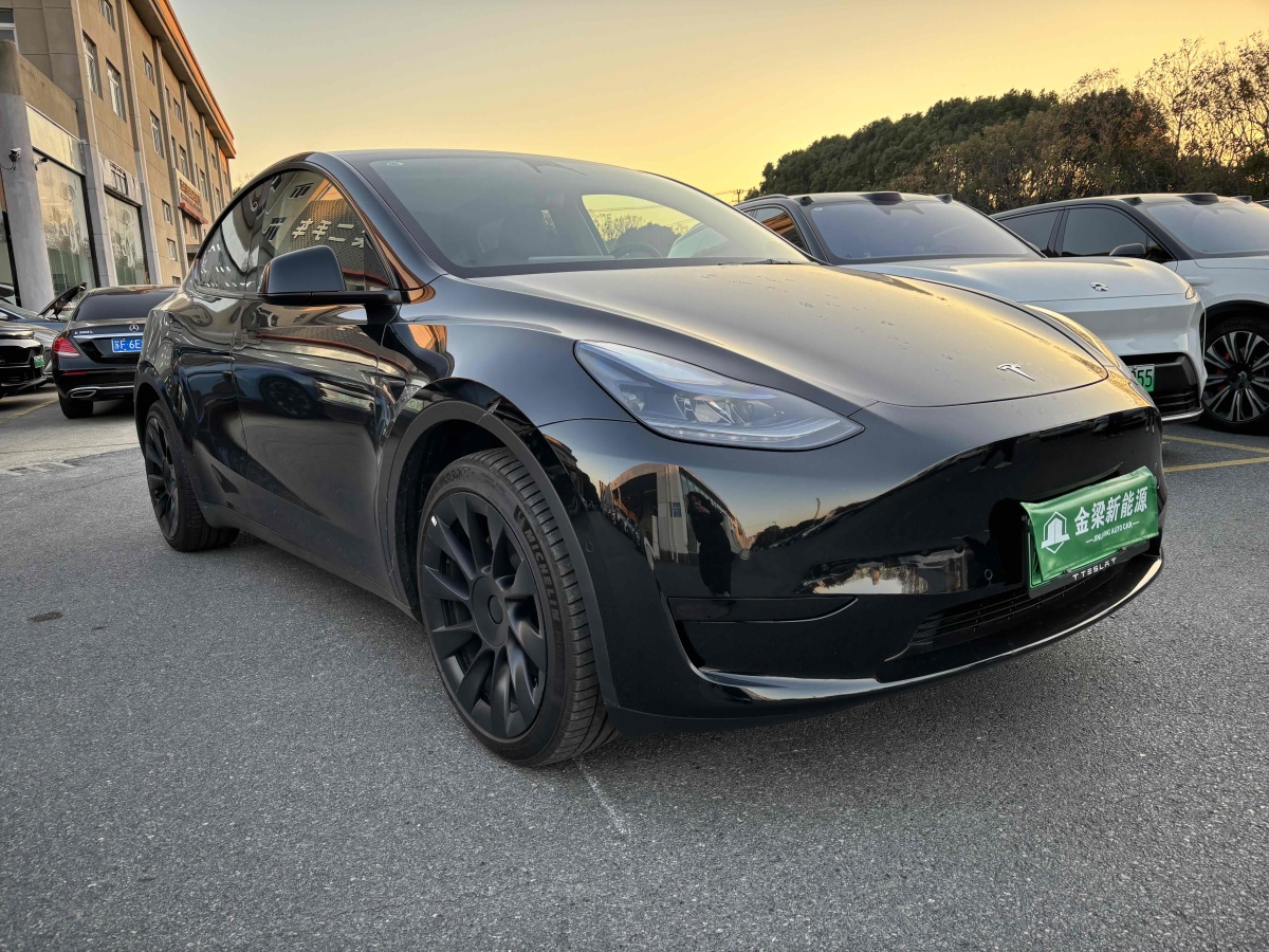 特斯拉 Model 3  2020款 改款 長(zhǎng)續(xù)航后輪驅(qū)動(dòng)版圖片