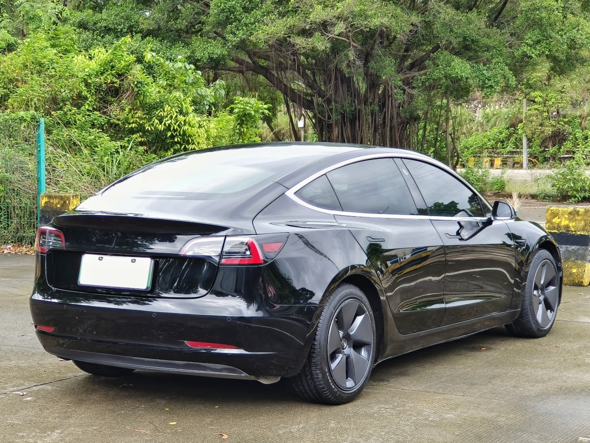 特斯拉 Model 3  2019款 標(biāo)準(zhǔn)續(xù)航后驅(qū)升級(jí)版圖片