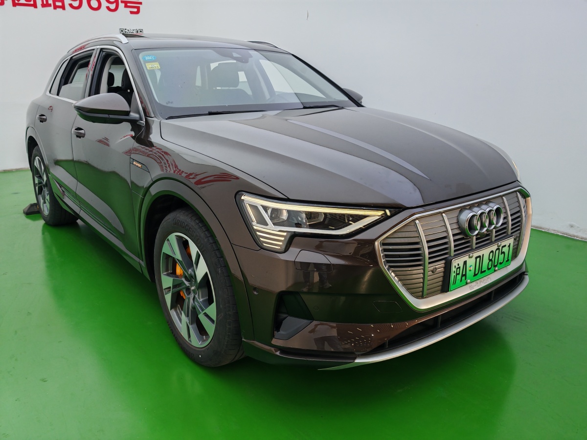 2021年1月奧迪 奧迪Q7新能源  2019款 55 e-tron