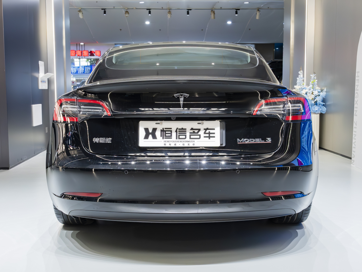 特斯拉 Model 3  2019款 Performance高性能全輪驅(qū)動(dòng)版圖片