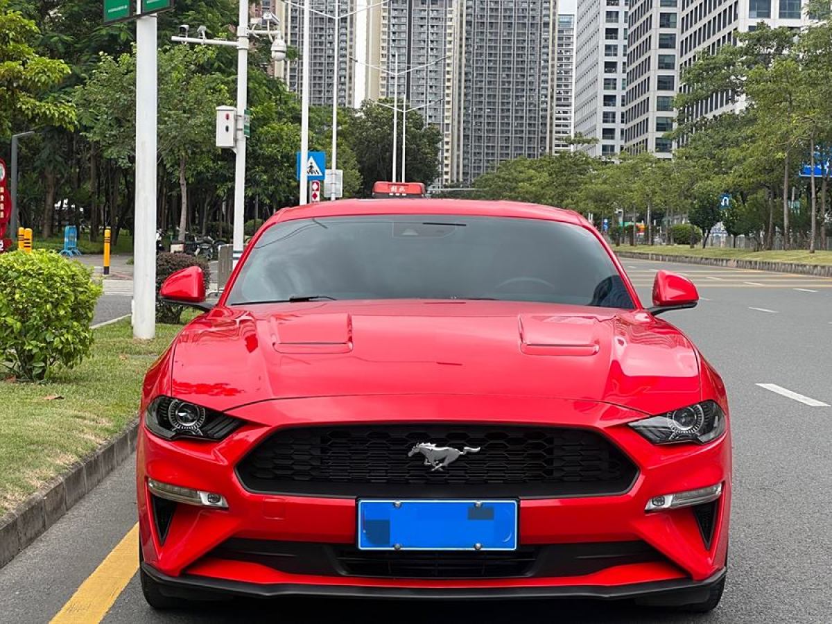 福特 Mustang  2019款 2.3L EcoBoost 性能加強版圖片