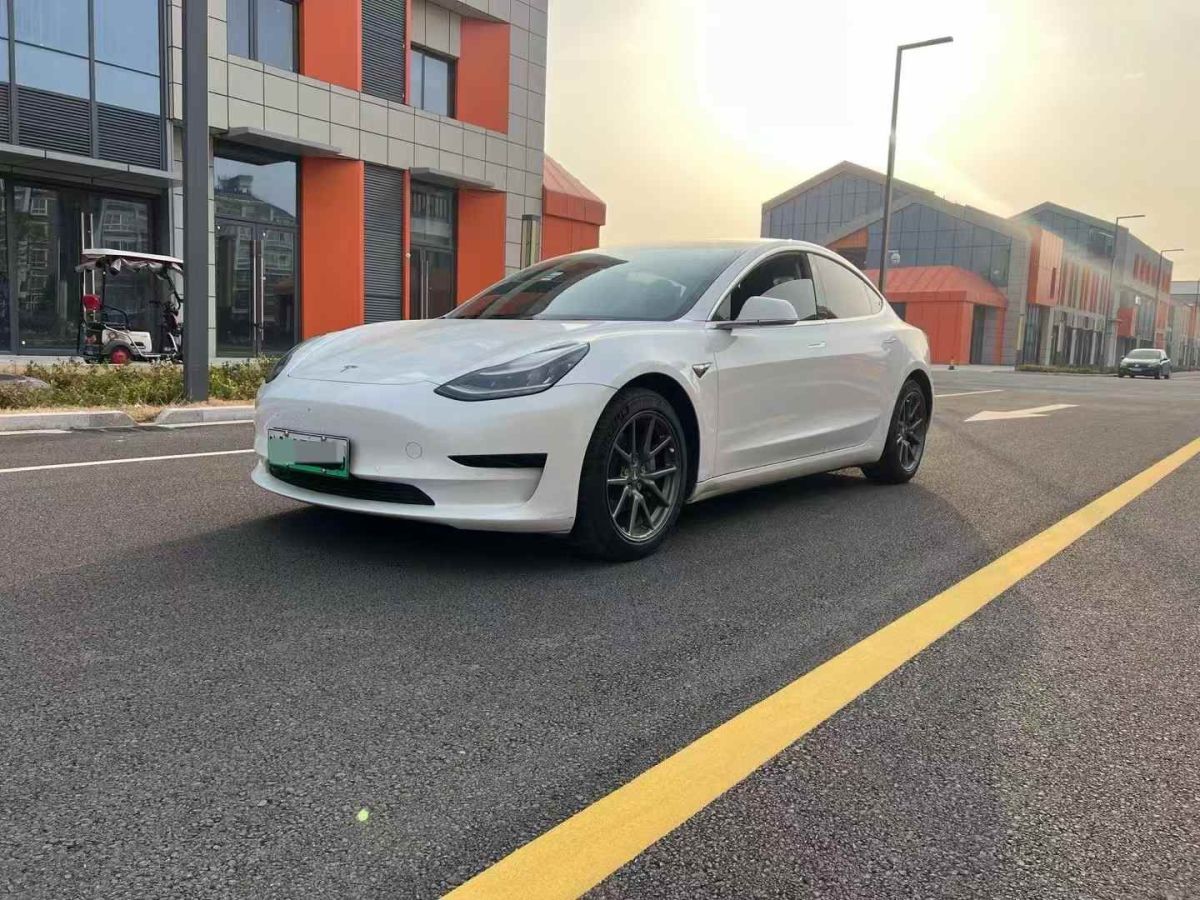 2020年1月特斯拉 Model X  2020款 Performance 高性能版