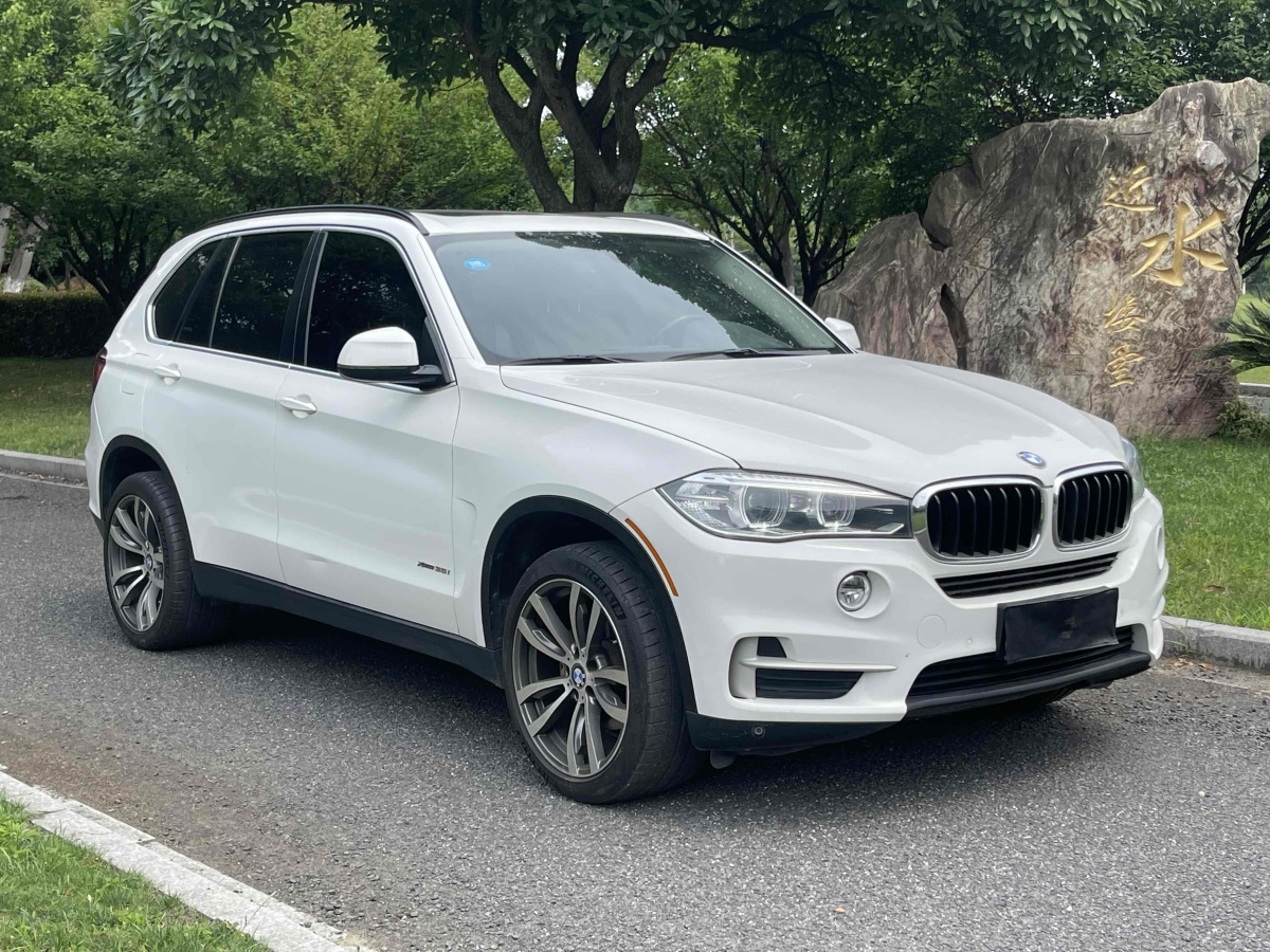 寶馬 寶馬X5  2014款 xDrive35i 領(lǐng)先型圖片