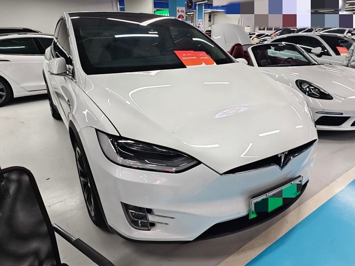 特斯拉 Model X  2019款 長續(xù)航版圖片