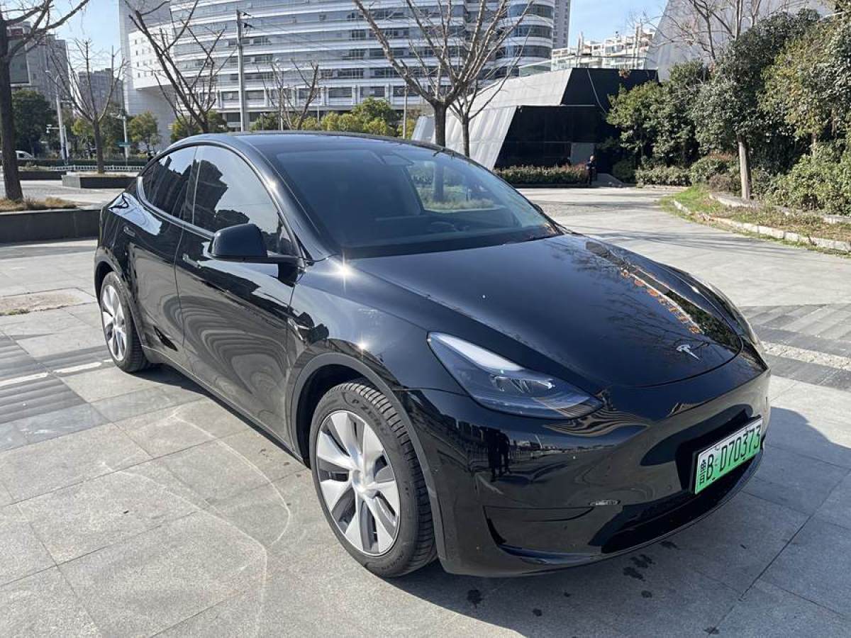 2023年6月特斯拉 Model 3  2020款 改款 長續(xù)航后輪驅(qū)動版