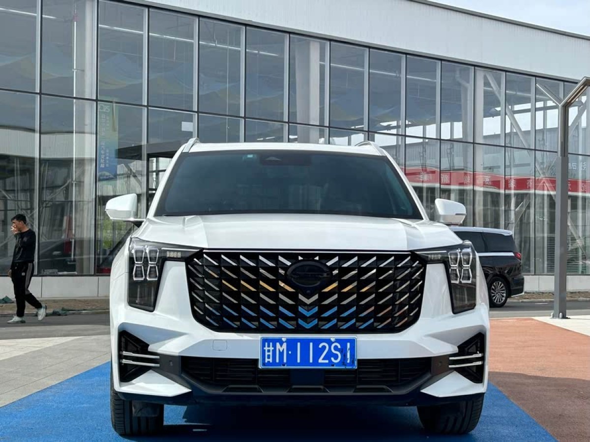 廣汽傳祺 GS8  2024款 領(lǐng)航系列 2.0TGDI 兩驅(qū)豪華智聯(lián)版圖片