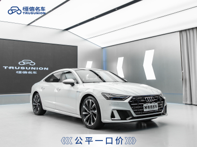 2023年7月 奧迪 奧迪A7L 45 TFSI quattro S-line 圣騎士圖片