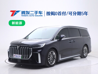 2023年10月 嵐圖 夢(mèng)想家 PHEV 超長(zhǎng)續(xù)航旗艦版圖片