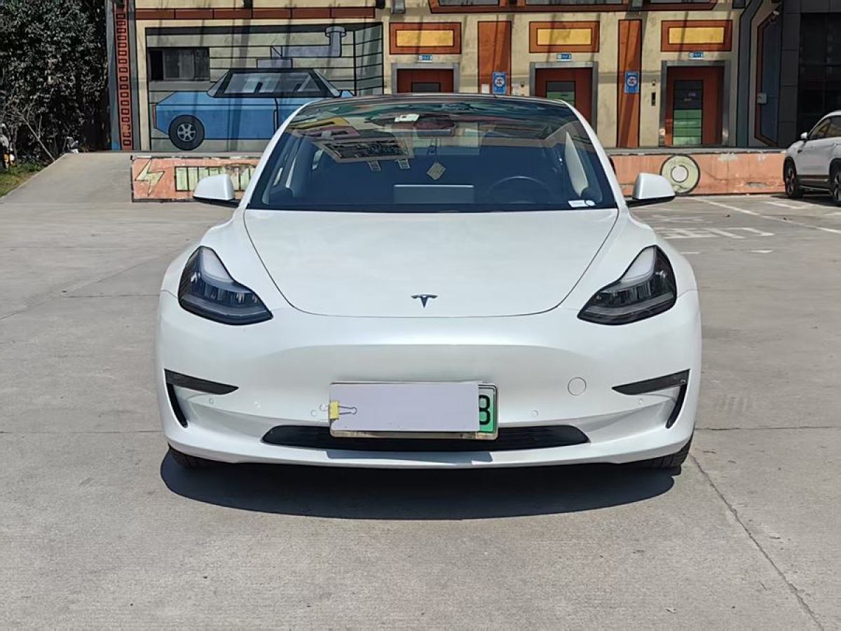 特斯拉 Model 3  2019款 長續(xù)航全輪驅(qū)動版圖片