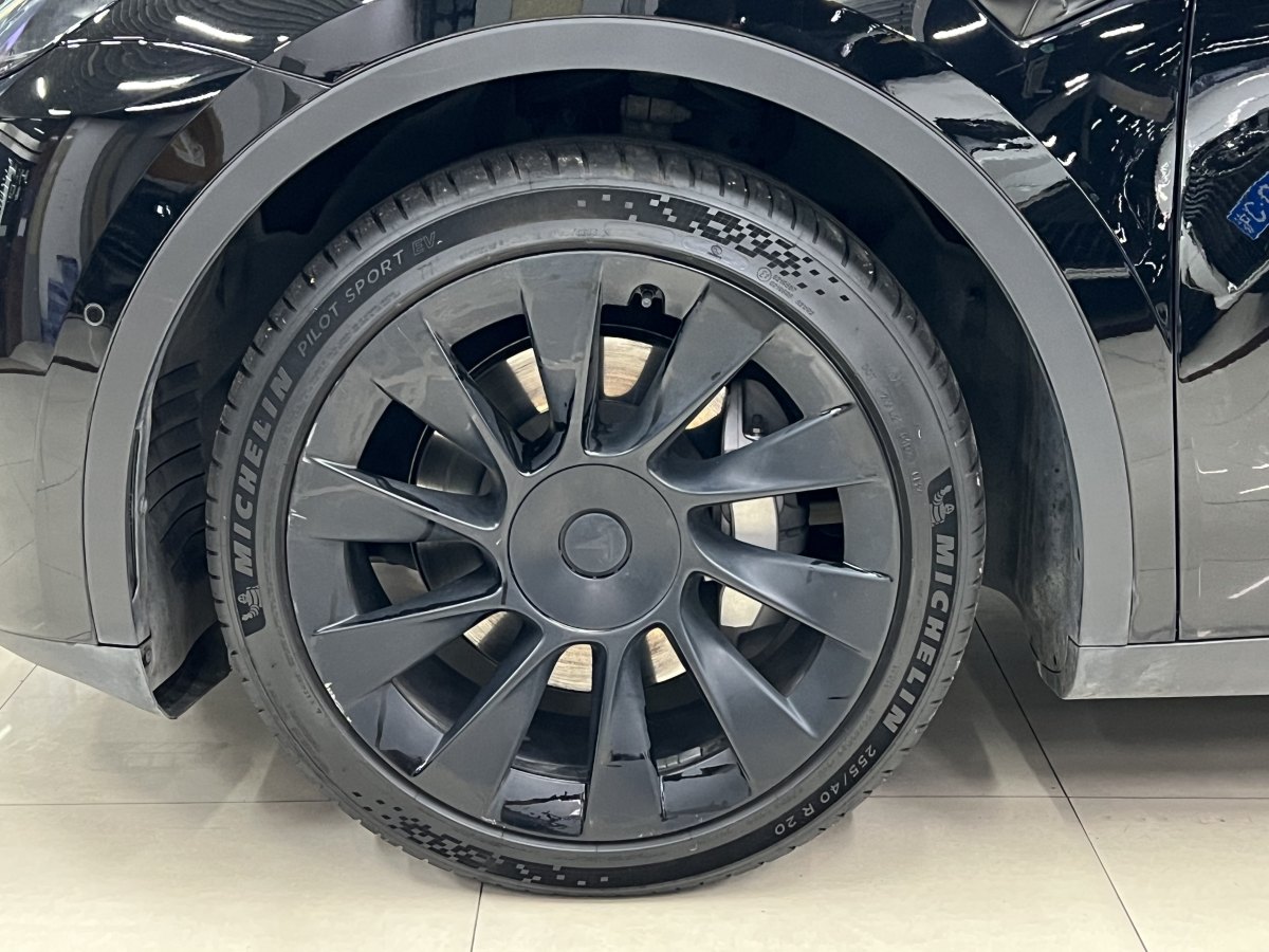 特斯拉 Model Y  2021款 標(biāo)準(zhǔn)續(xù)航后驅(qū)版圖片